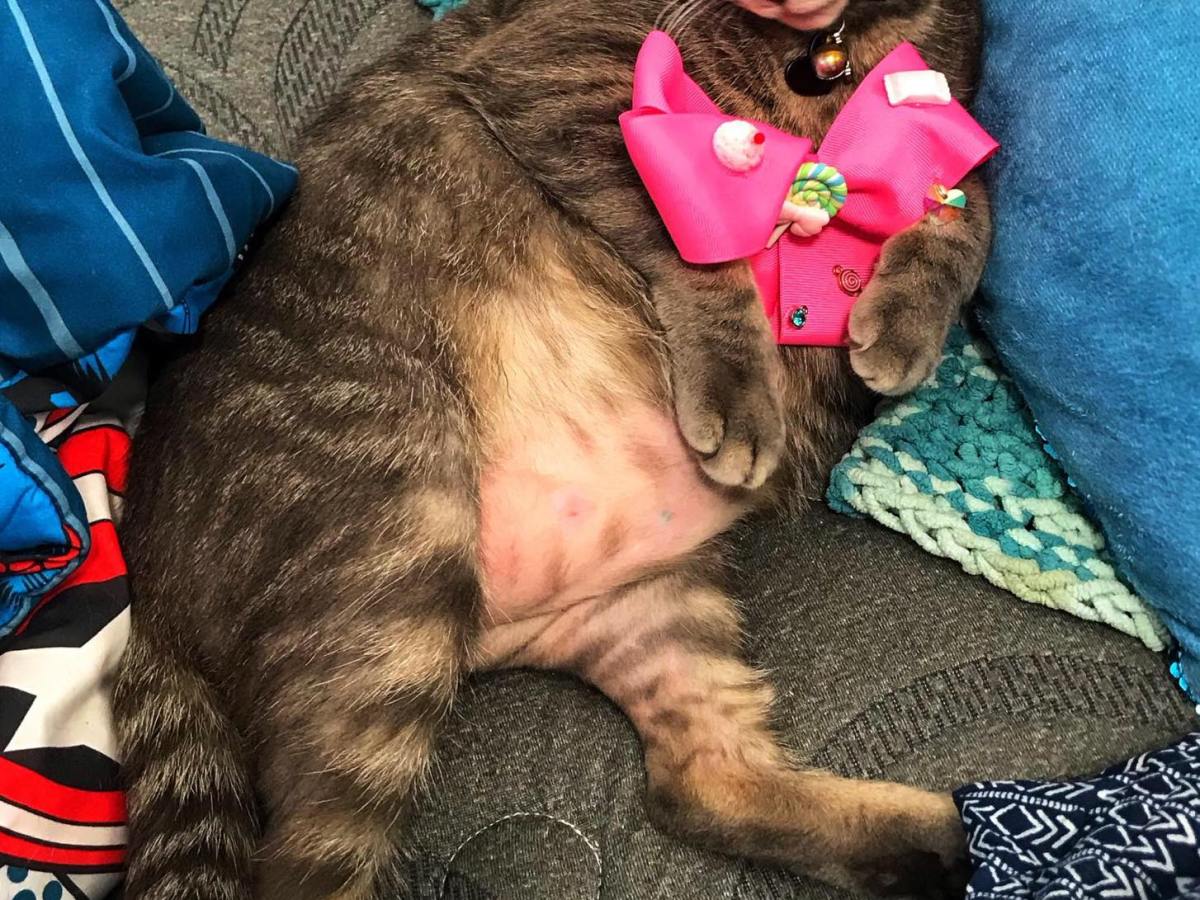 Mental Health Check&nbsp;In